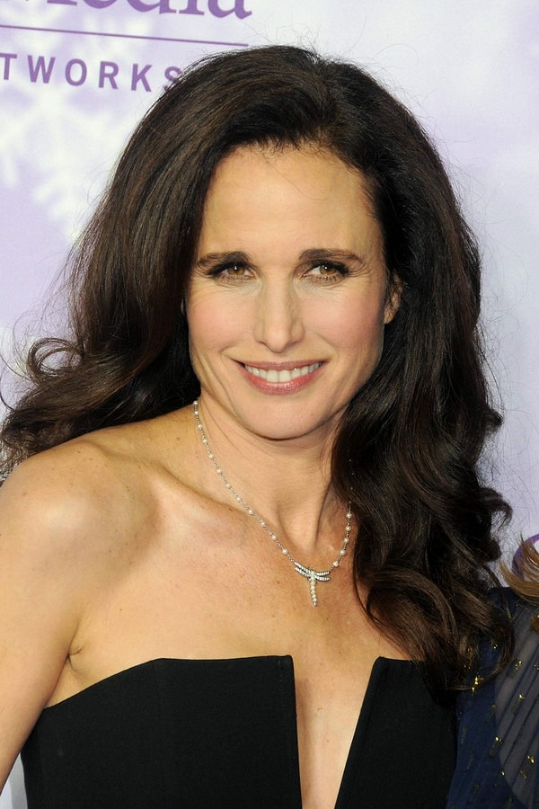 19. Sevimli Hırsız (1991)  Hudson Hawk - Andie MacDowell