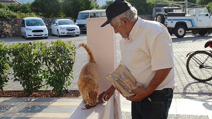 'İnsanlık Ölmedi' Dedirten Hikaye: Hurda Satarak Kedileri Besliyor