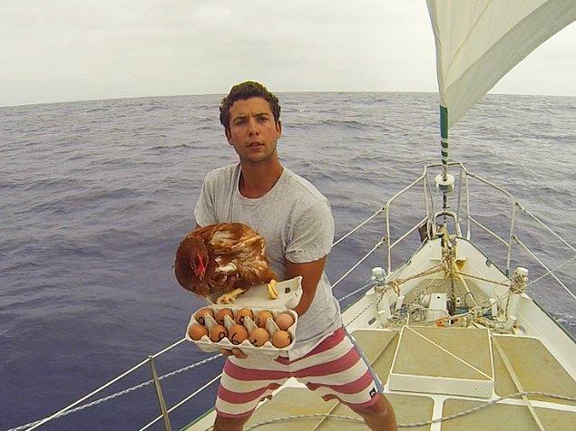 Tavuk Atlas Okyanusu'nu aştıkları 28 günde 25 kere yumurtlamış bi güzel.