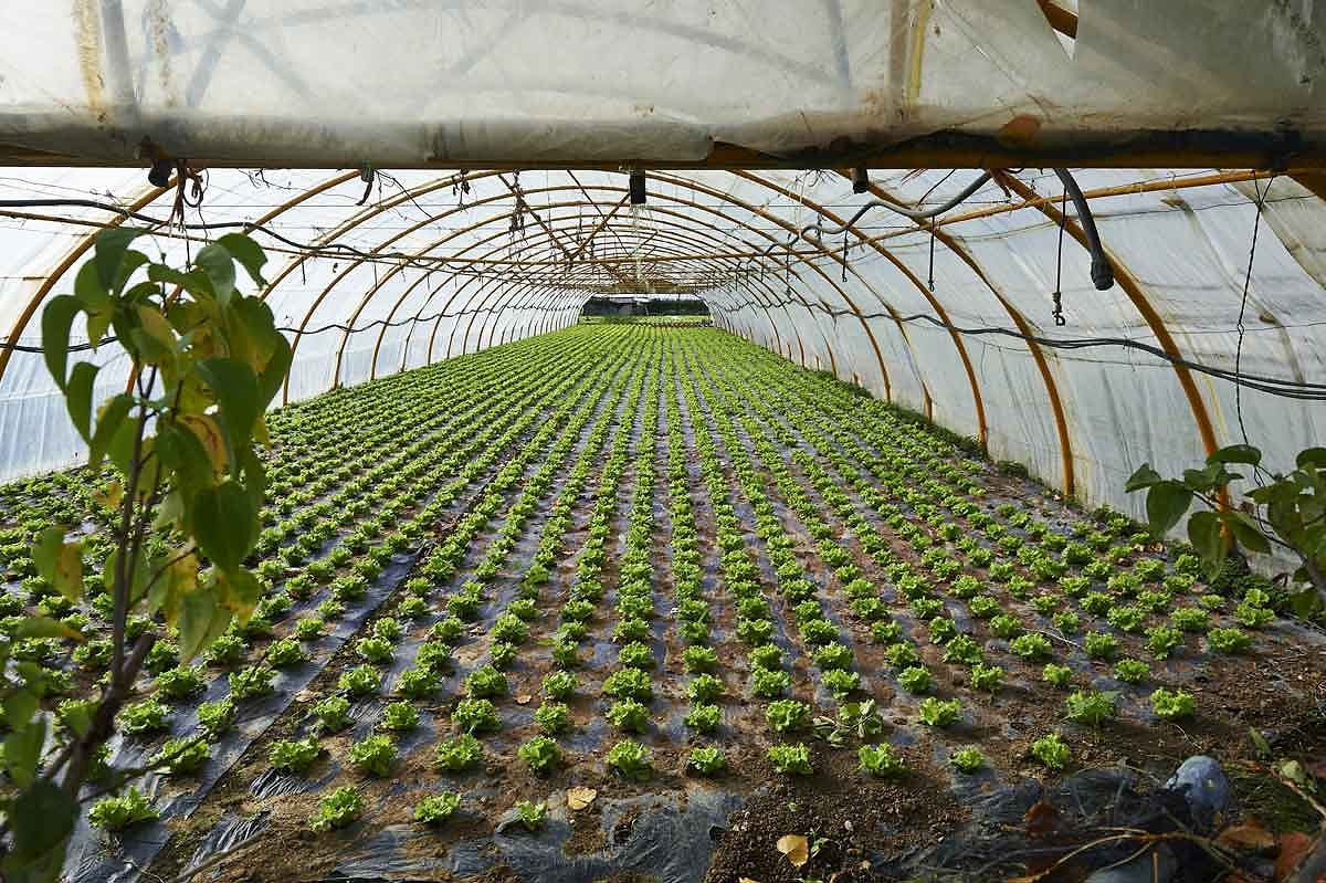 Modern farming methods. Пластмасса в сельском хозяйстве. Plasticulture. Agro Green House. Sun Shade Netting for Agriculture Courtyard Garden.