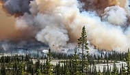 Ошеломительные фото победителей конкурса Environmental Photographer of the Year 2016