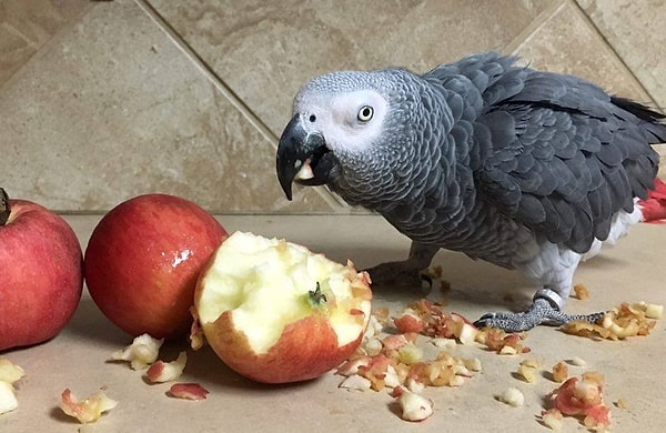 5. Множество вкусных фруктов и овощей, а также новые друзья помогают ей прийти в себя.