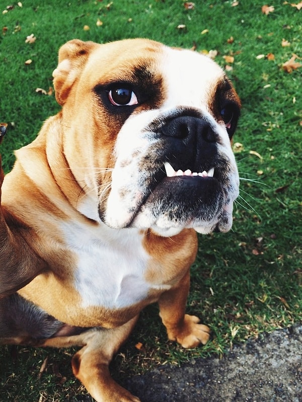 15. Селфи после тренировки