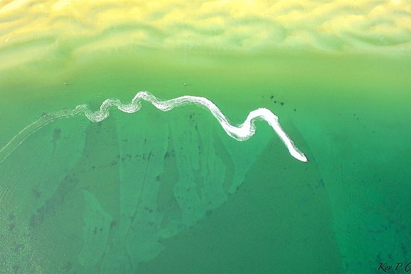 14. Брайтон-Бич