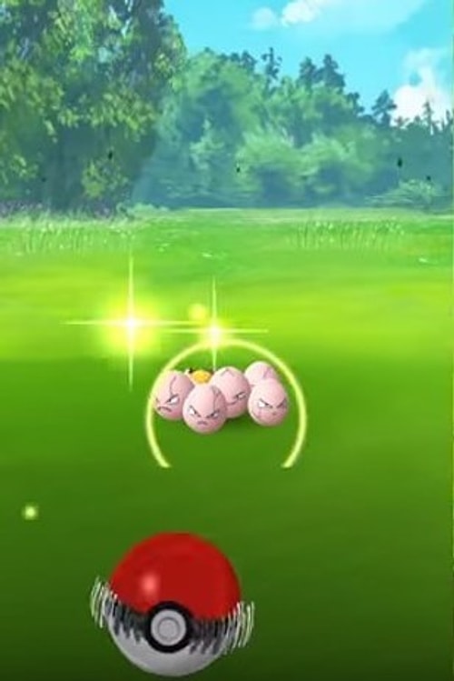 Hey you! Get back here...