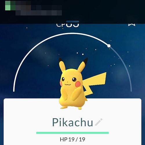 Покемоны делятся на три вида: Обычные, Редкие и Очень Редкие.