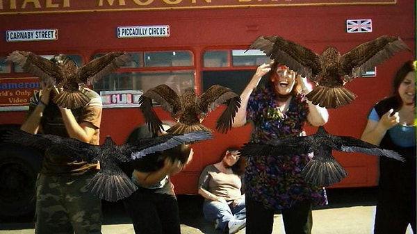 5. Птицекалипсис: Шок и Трепет