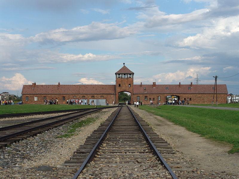 Acının Şahidi Auschwitz Kampı