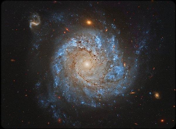 29. NGC1309 : Sarmal Gökadası ve Arkadaşları