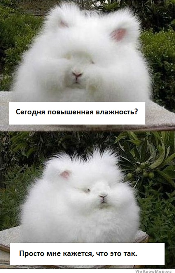 10. А если воздух особенно влажный, не стоит даже и пытаться привести волосы в порядок