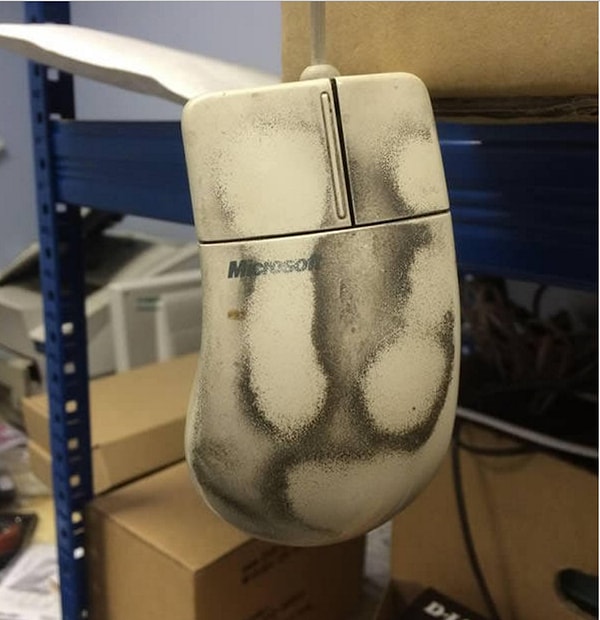 4. Ты можешь не протирать мышку, но руки мыть обязан!