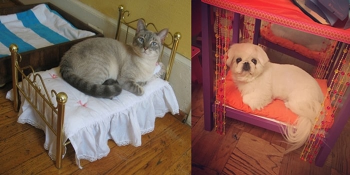 Oyuncak Bebek Yataklarını Ele Geçirmiş 21 Sülalesi Rahat Minnoş