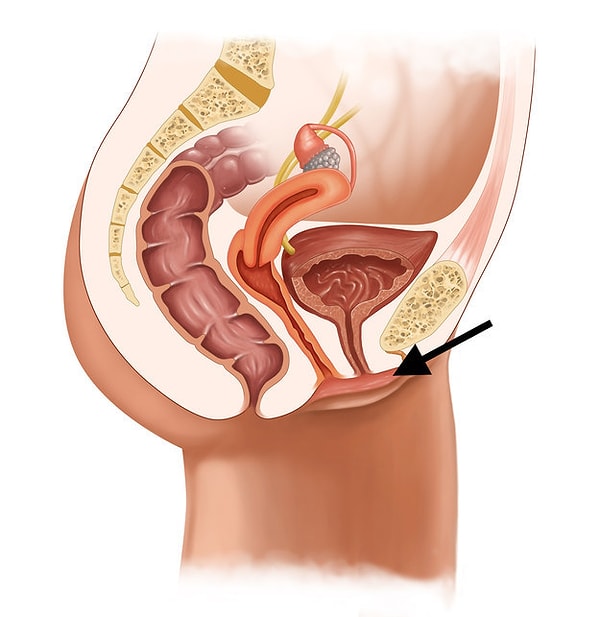 7. Как насчет названия этой полости темно-красного цвета?