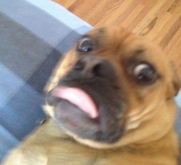 2. Guess he didn't like his photo taken.