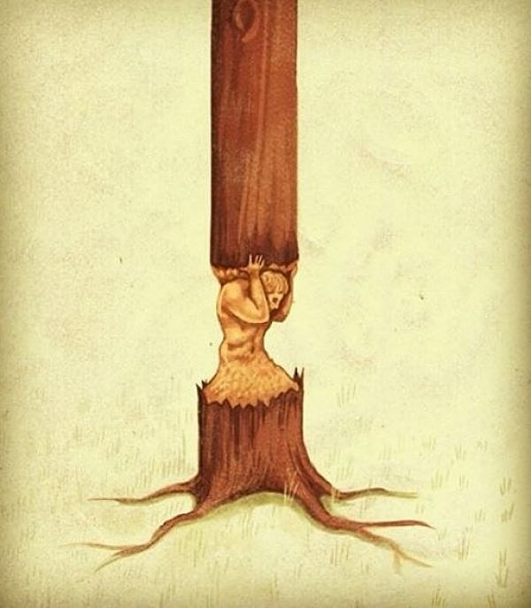 4. Вырубка лесов: во сколько это обойдётся людям?