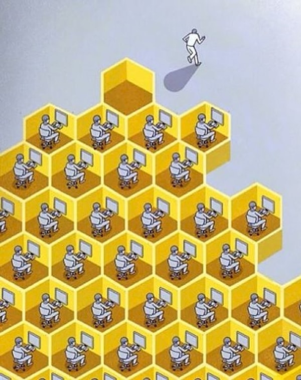 5. Жизнь в улье