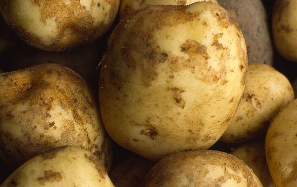“Dış görünüşü mükemmel olmayan" patatesleri süpermarketlerin geri çevirmesi ise epey canını sıkmış.