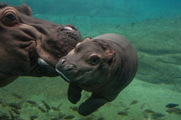 8. Само очарование