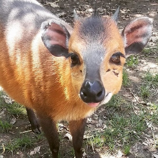 3. Красота-то какая!