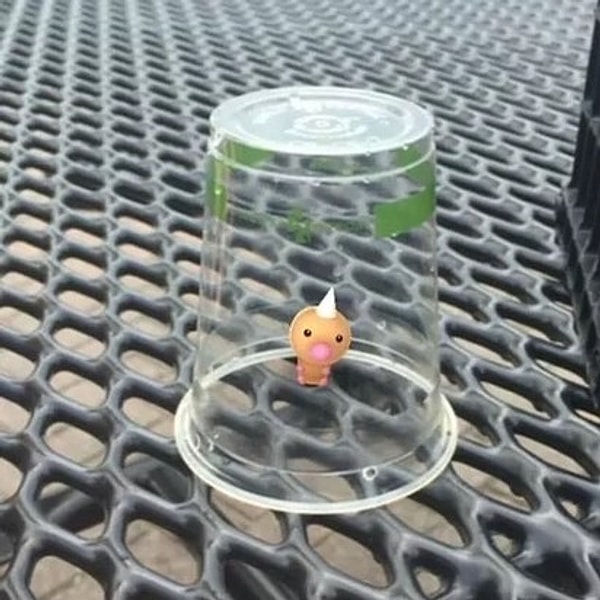 9. Удачненько совпало: