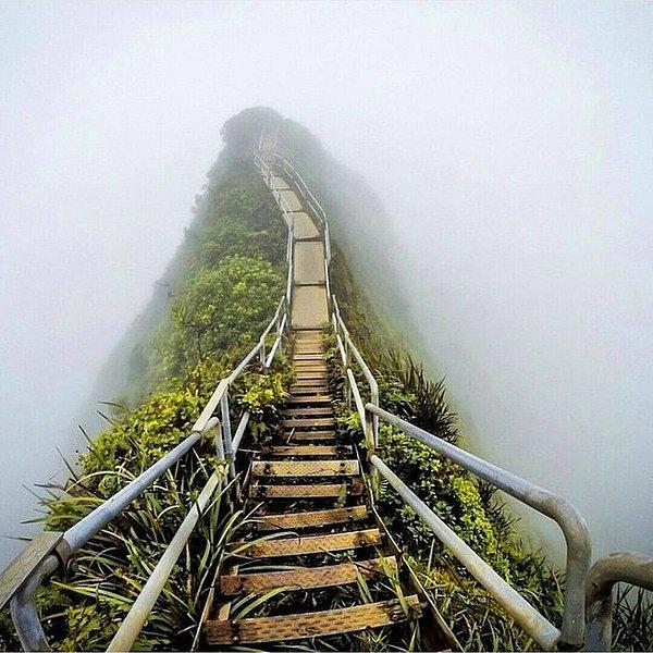 10. Cennet Merdiveni olarak adlandırılan eski bir dağ yolu, Hawaii, ABD