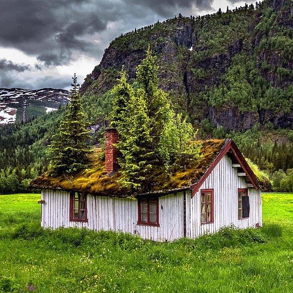 12. Kırsal bölgede terk edilmiş başka bir ev, Norveç