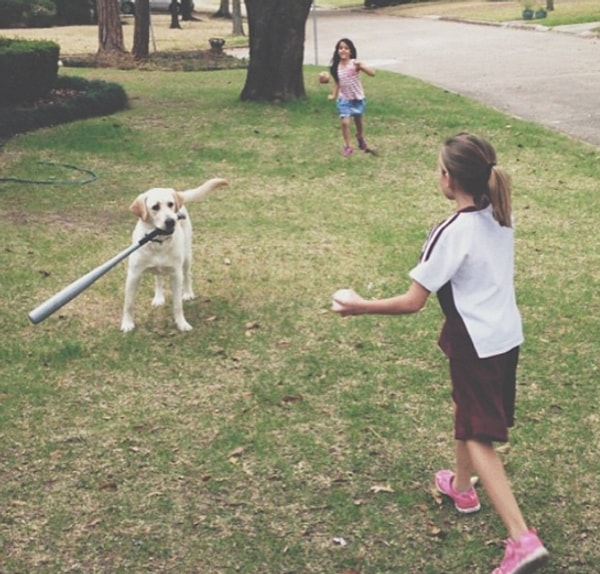 14. С таким другом легко стать чемпионом