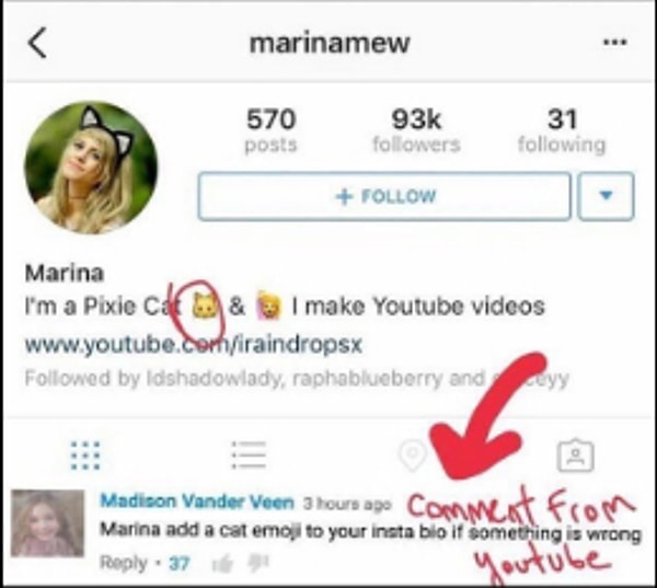 Следующее сообщение подписчиков выглядело так: "Если тебе угрожает опасность, поставь в описание своего Инстаграма кошку"