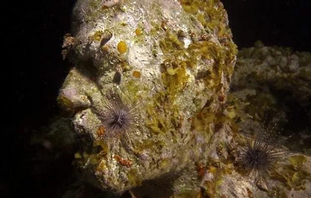 3. Evolving Underwater Sculptures