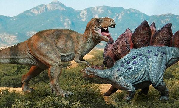 16. Stegosaurus'larla Tiranozorlar arasındaki zaman farkı, Tiranozorlar ile bizim aranızda bulunan zaman farkından daha fazladır.