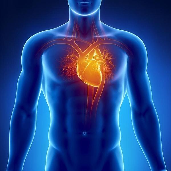 6. Aslında kalp atışlarının hızlanması gayet sağlıklı bir durum, ancak işin içine yüksek stres seviyesi eklenince asıl tehlike başlıyor.