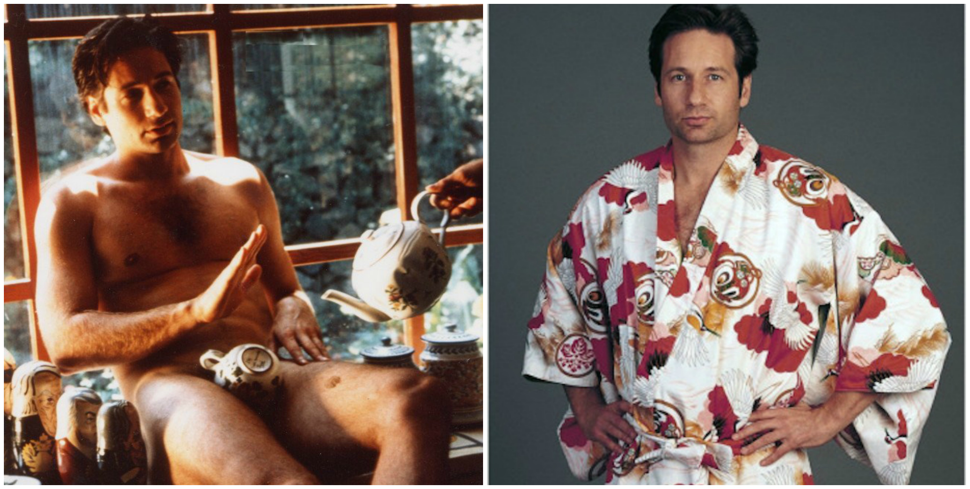 David duchovny playgirl teacup