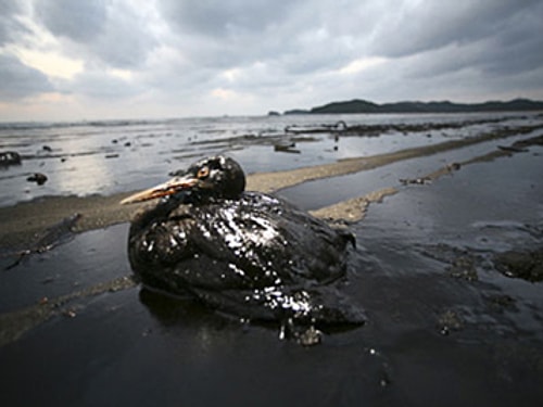 Deepwater Horizon Explosion, 2010