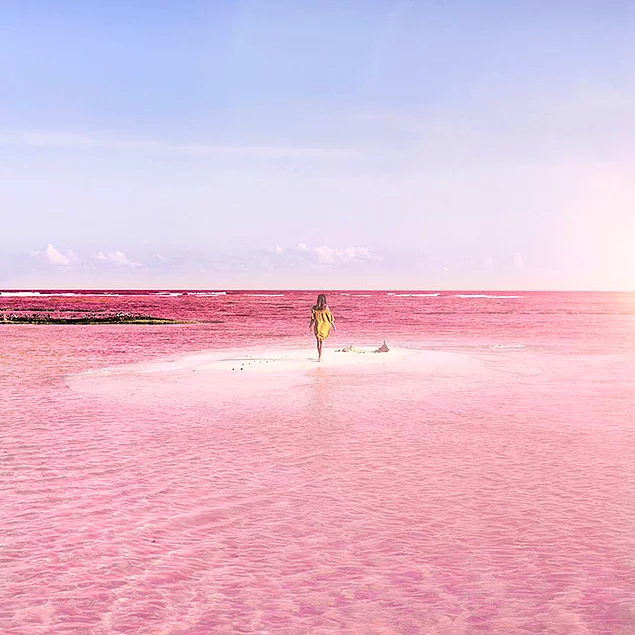 Лучшее в мире место для селфи – Розовая лагуна в Мексике
