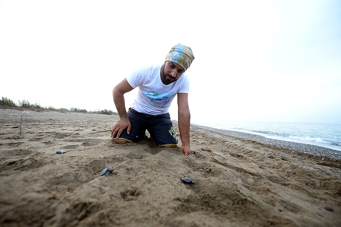 Belek'te Bir 'Kaplumbağa Terbiyecisi'