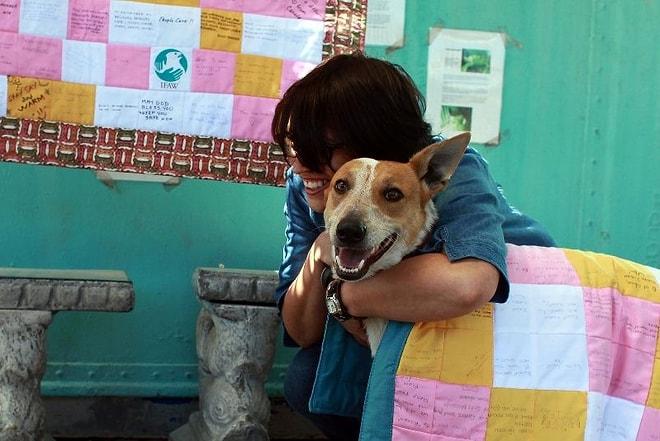 Havladığı İçin Diri Diri Gömülen Engelli Sokak Köpeği Lily'nin Hüzün ve Umut Dolu Hikâyesi