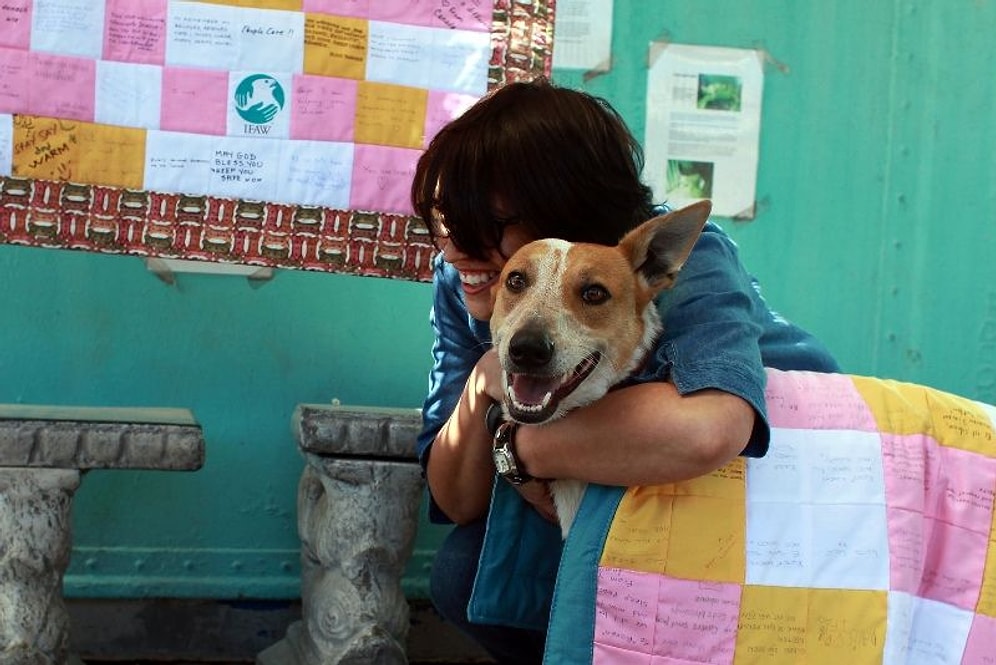 Havladığı İçin Diri Diri Gömülen Engelli Sokak Köpeği Lily'nin Hüzün ve Umut Dolu Hikâyesi