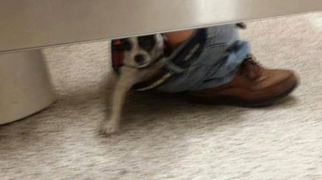 Это вообще что?