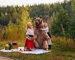Дружелюбного медведя Степана из России продолжают навещать иностранцы