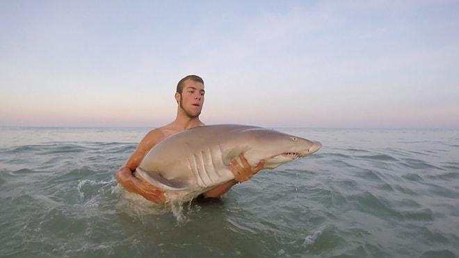 Köpekbalığı ile Selfie Çektiren Gebeş İnsan