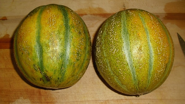 5. Твоя грудь будет болеть, когда начнет расти