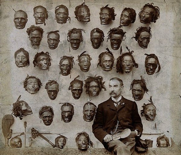 20. General Horatio Gordon Robley ve dövmeli Maori kafaları koleksiyonu, 1895