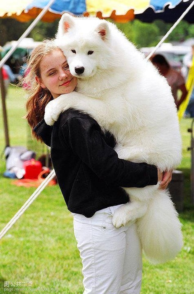 Spread the love 🐶🐕