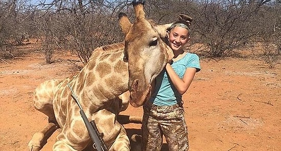 12-летняя любительница сафари получает комментарии с угрозами за фото с убитыми ею животными