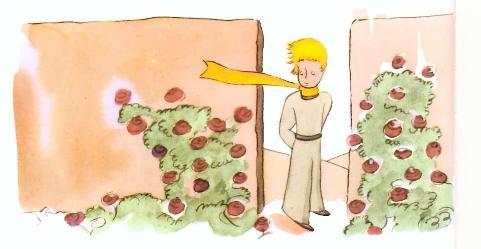15 Inspiring Life Lessons From 'The Little Prince' - onedio.co
