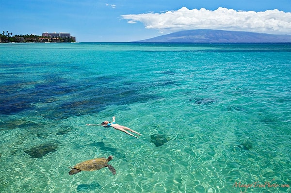 16. Миф: "Нельзя плавать на полный желудок, потому что у вас начнутся судороги"