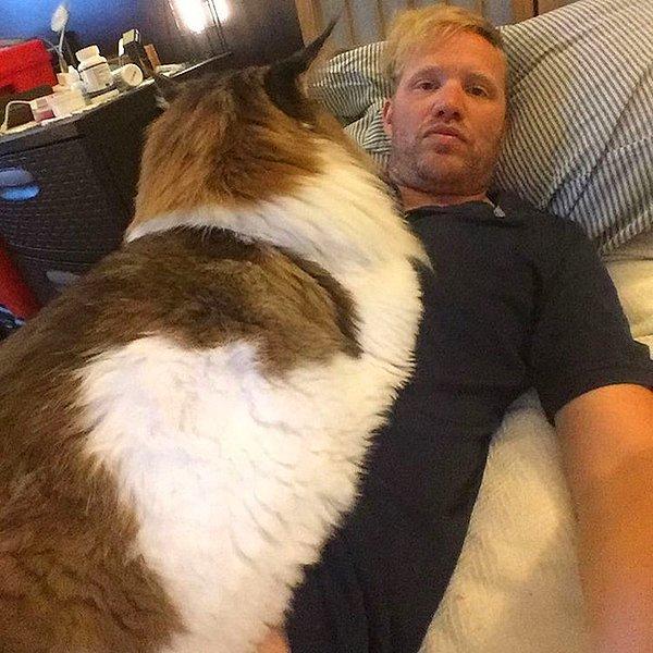 Samson'ın sahibi Jonathan Zurbel, kedisinin aşırı kilolu veya şişman olduğunu düşünmüyor.🐱🐱