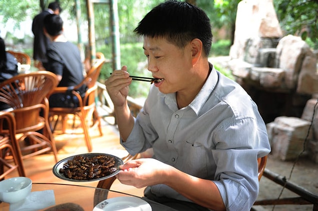 13. In China and other Eastern countries, deep fried cockroaches are consumed as food.