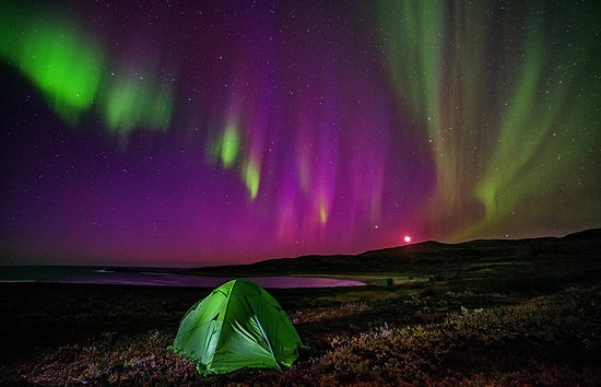 Bu Renk Testi Senin Gerçekten İnsanlardan Nefret Edip Etmediğini Söylüyor!