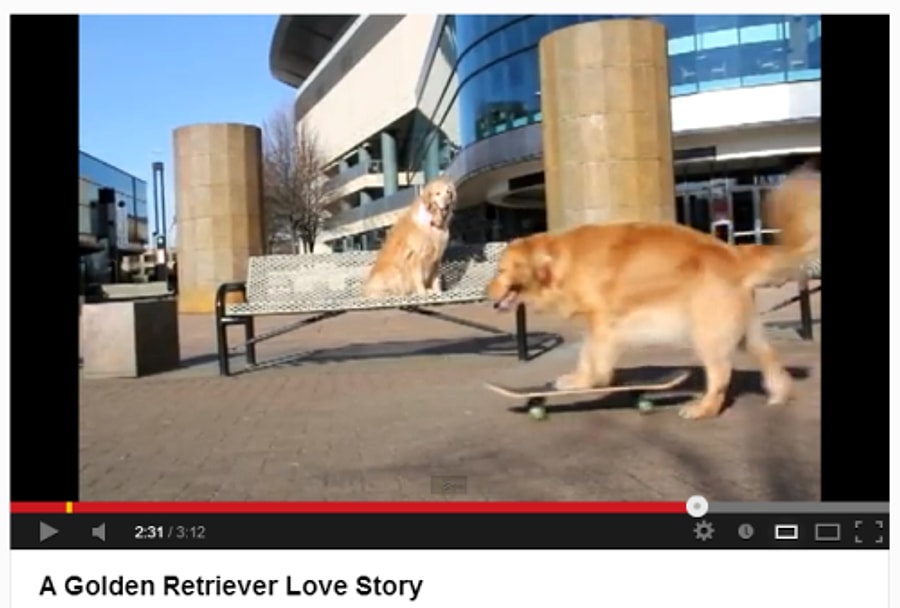 She loves her dog. Дог систер. This is her Dog.